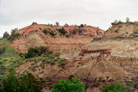 [Reddish rock faces sprinkled with multiple shades of green shrubbery.]